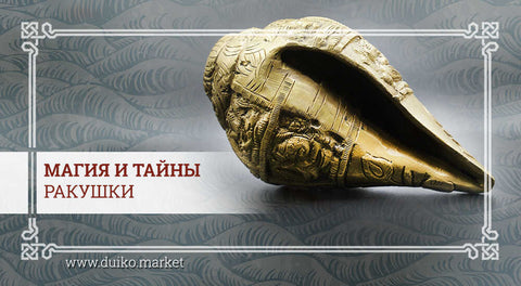 Магия и тайны ракушки