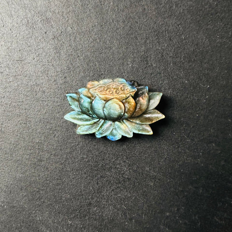 Лотос из Лабрадора