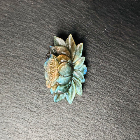 Лотос из Лабрадора