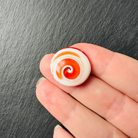 Раковина Нага с эмалью